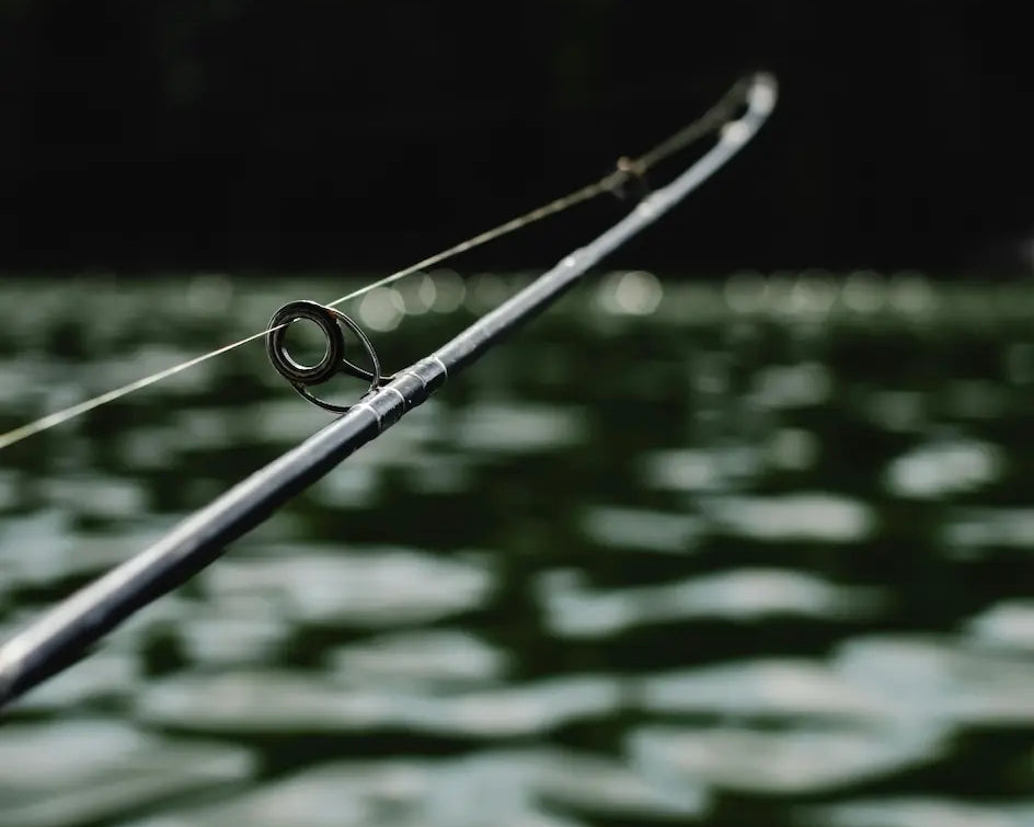 Top 5 des noeuds incontournables pour la pêche en mer