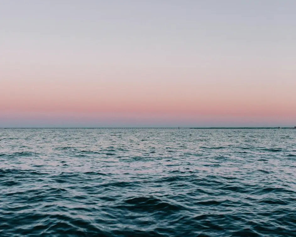 L'importance des marées et de la lune pour vos sorties pêche !