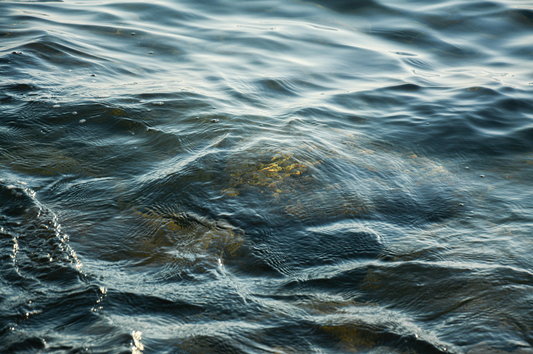 L’art de lire la mer et les veines d’eau pour une pêche réussie