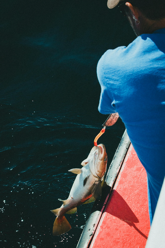 L'odeur de l'anis : un allié incontournable pour la pêche ?