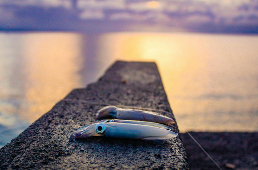 Comment choisir sa turlutte pour pêcher le calamar ?