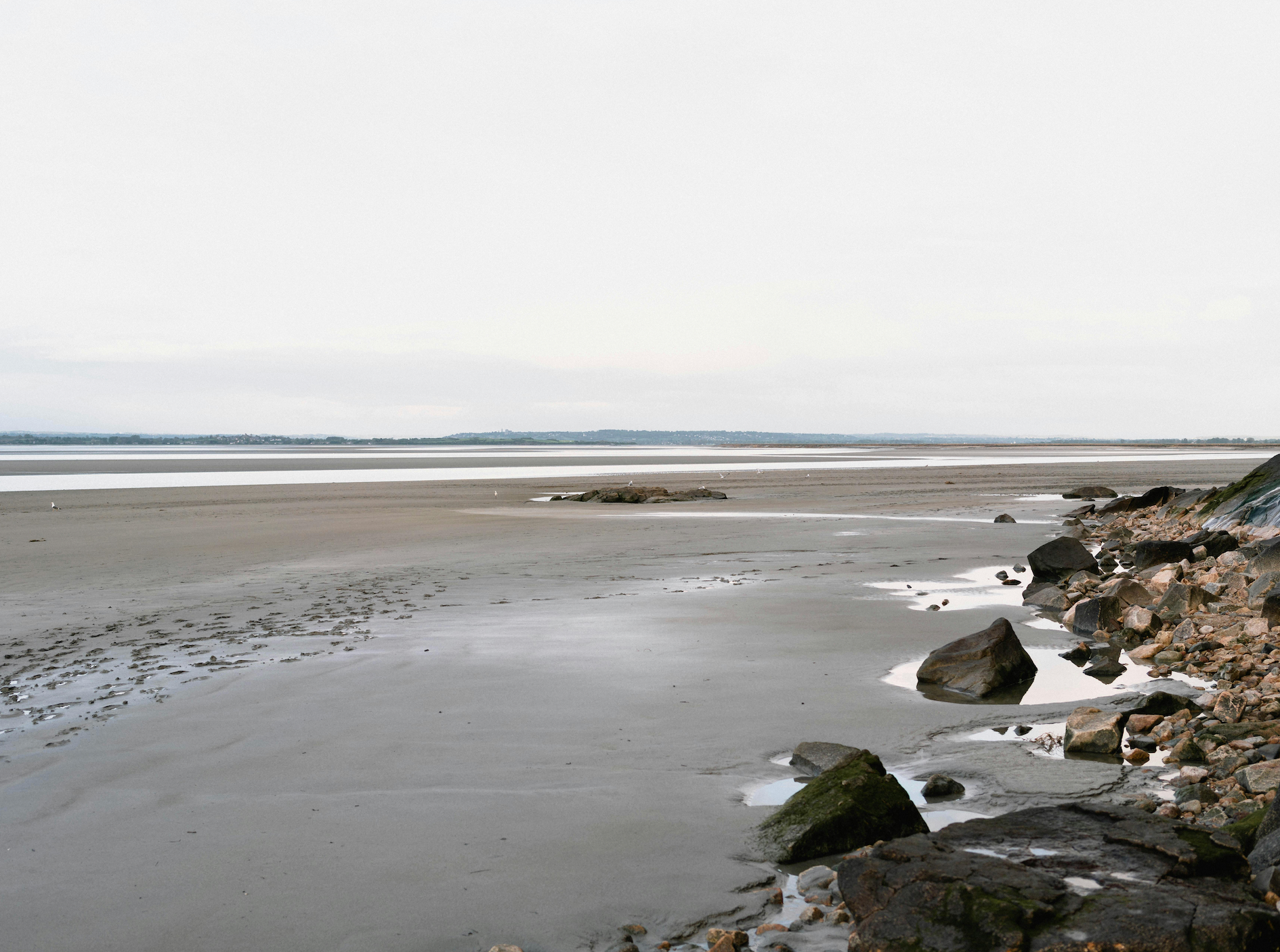 Marée haute ou marée basse : Quel est le meilleur moment pour pêcher ?