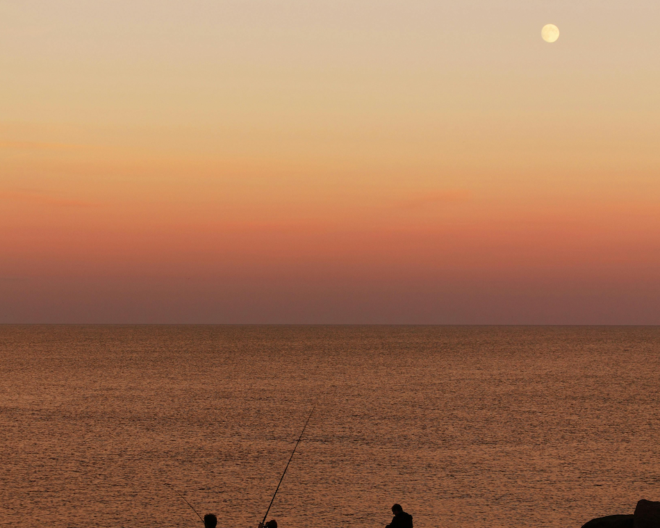 Influence de la lune sur la pêche du bar
