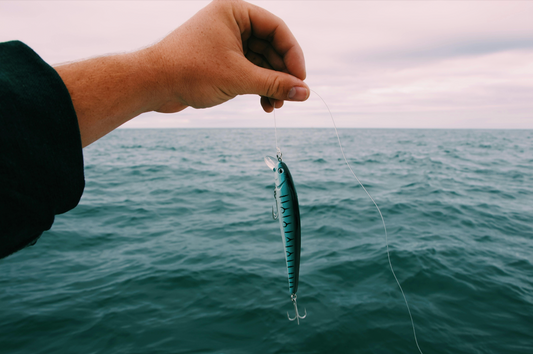 Comment choisir et animer un poisson nageur ?