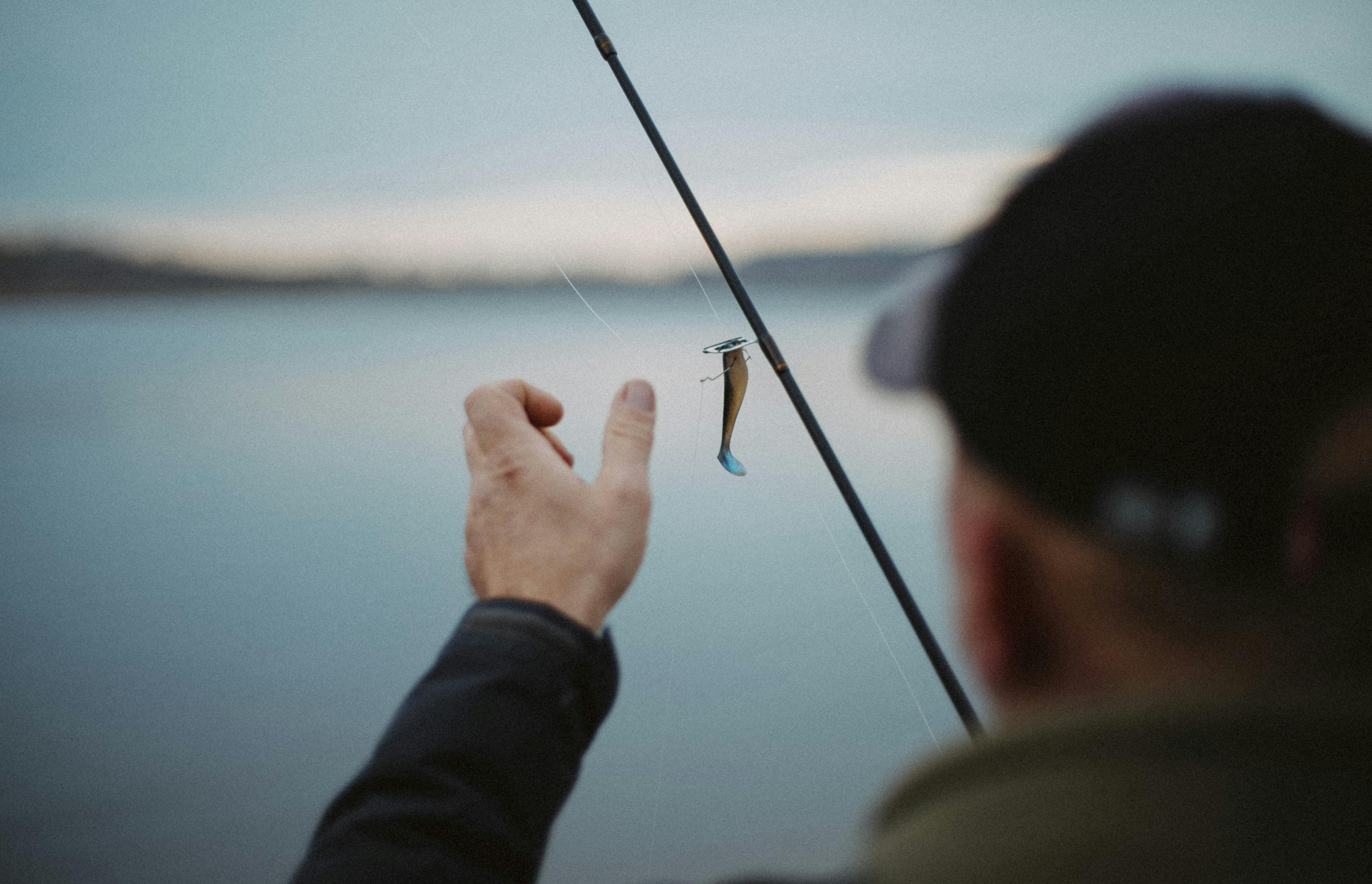 Les Différents Leurres Souples pour la Pêche du Bar
