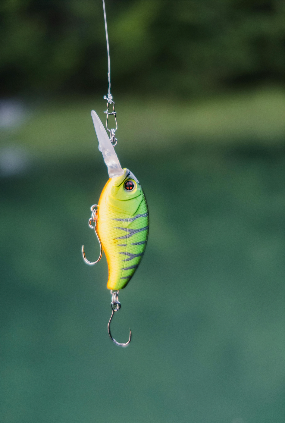 Comment monter un leurre dur pour la pêche de la truite ?