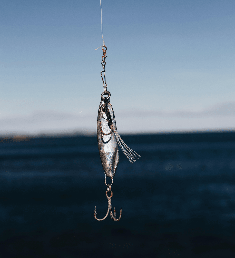 Comment choisir son émerillon pour la pêche en mer ?