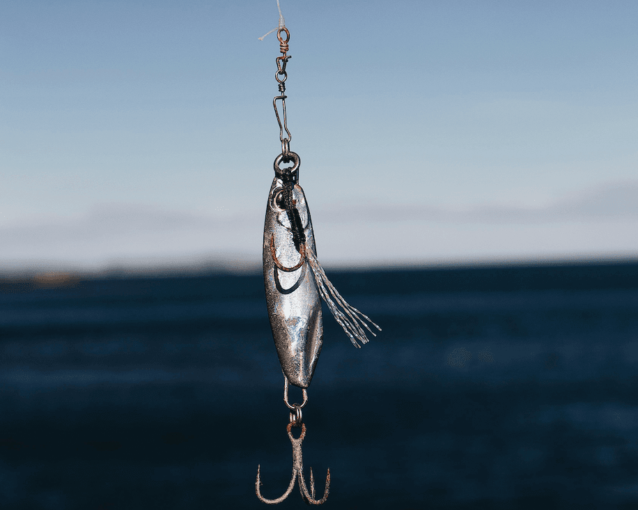 Comment choisir son émerillon pour la pêche en mer ?