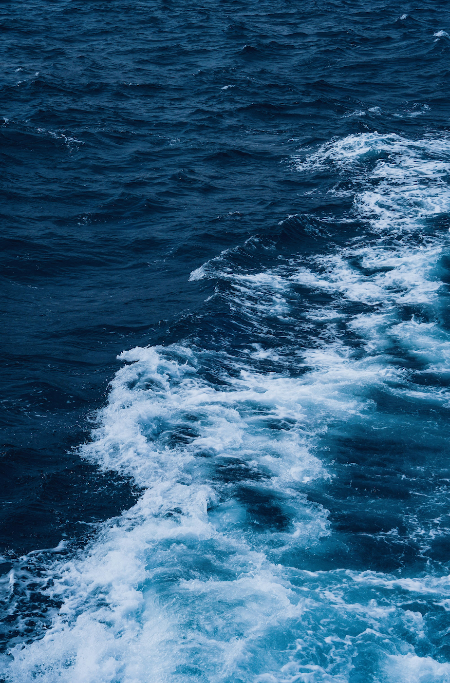 Pêcher en mer sans sondeur : une approche naturelle, stratégique et efficace