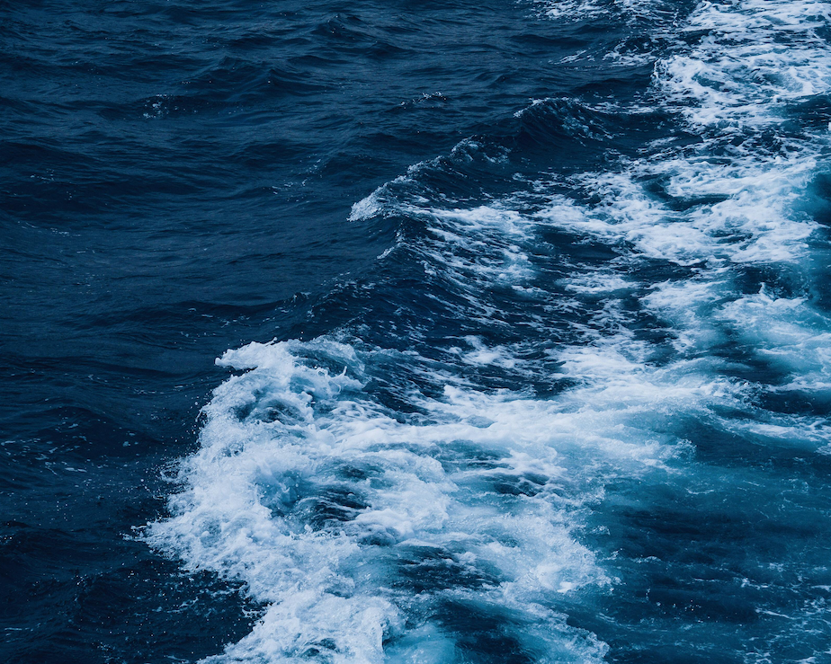 Pêcher en mer sans sondeur : une approche naturelle, stratégique et efficace