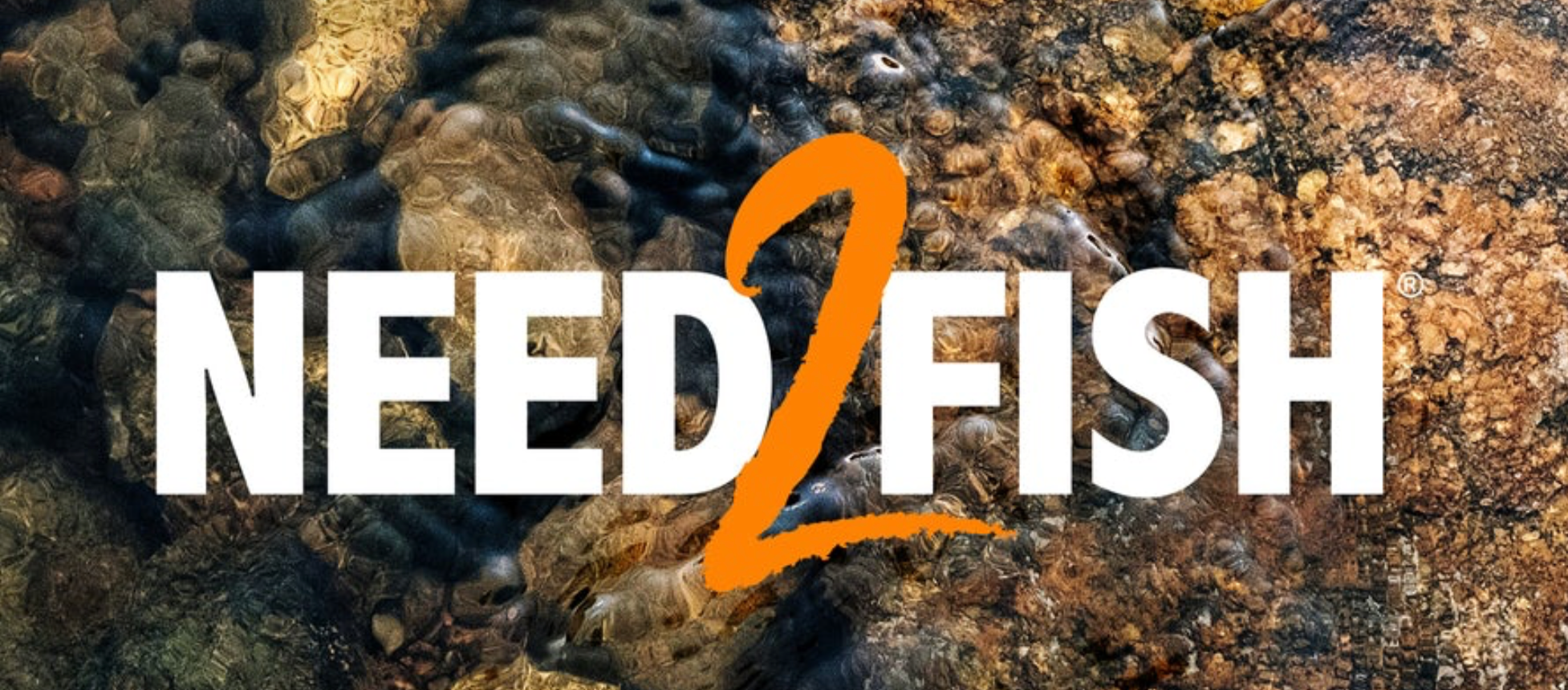 Need2fish intégre les bredouilleurs