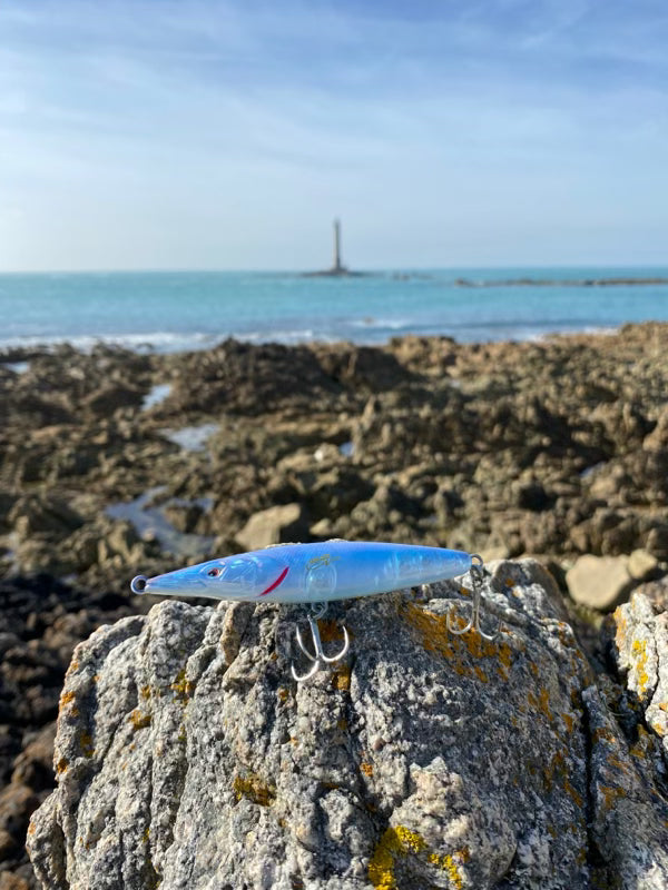 Maîtriser l’art du leurre de surface