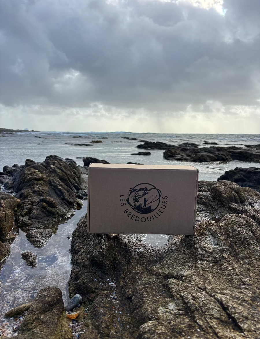 Coffret de leurres de pêche spécila grosses prises les breoduilleurs