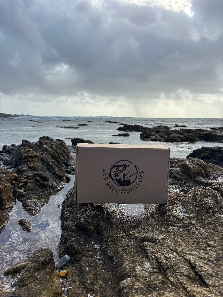 Coffret de leurres de pêche spécila grosses prises les breoduilleurs