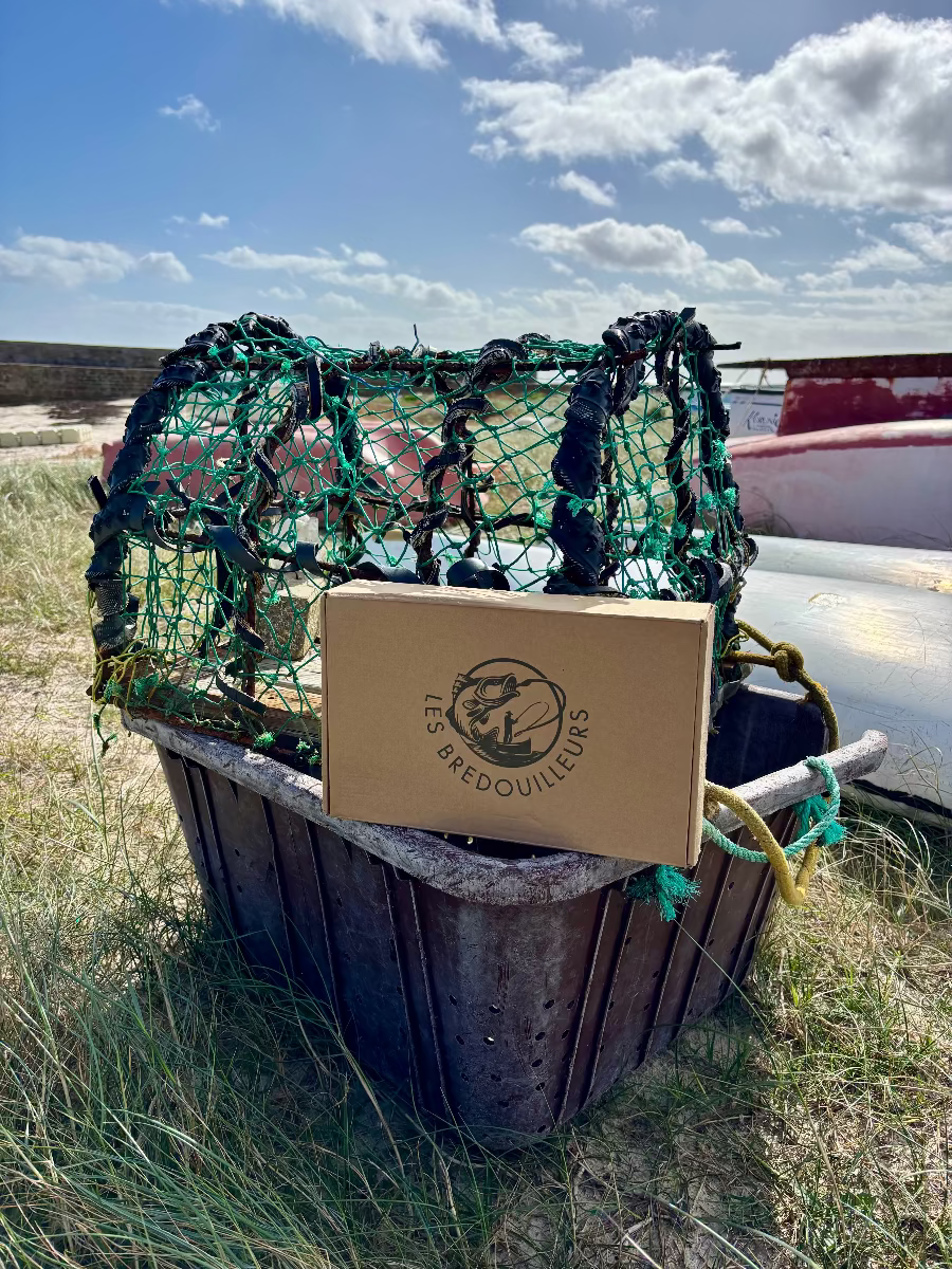 Nouvelle année, nouveau coffret de leurres en mer