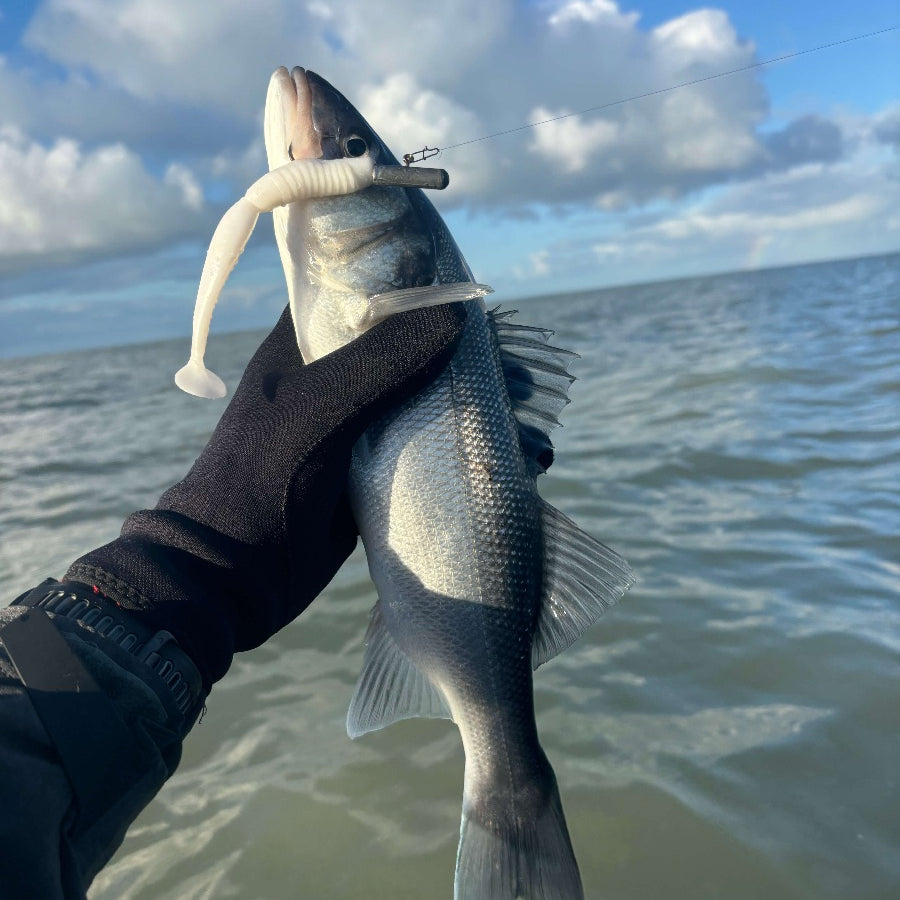 Nos leurres pour la pêche en mer et pour tous types de pêcheurs